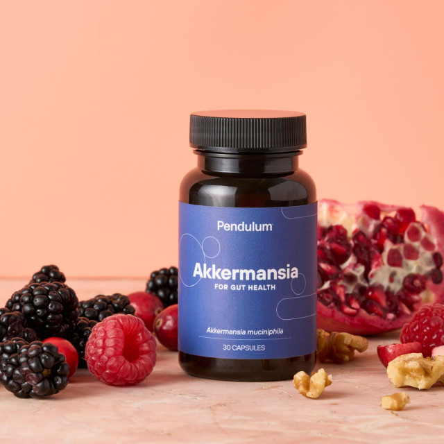 Akkermansia